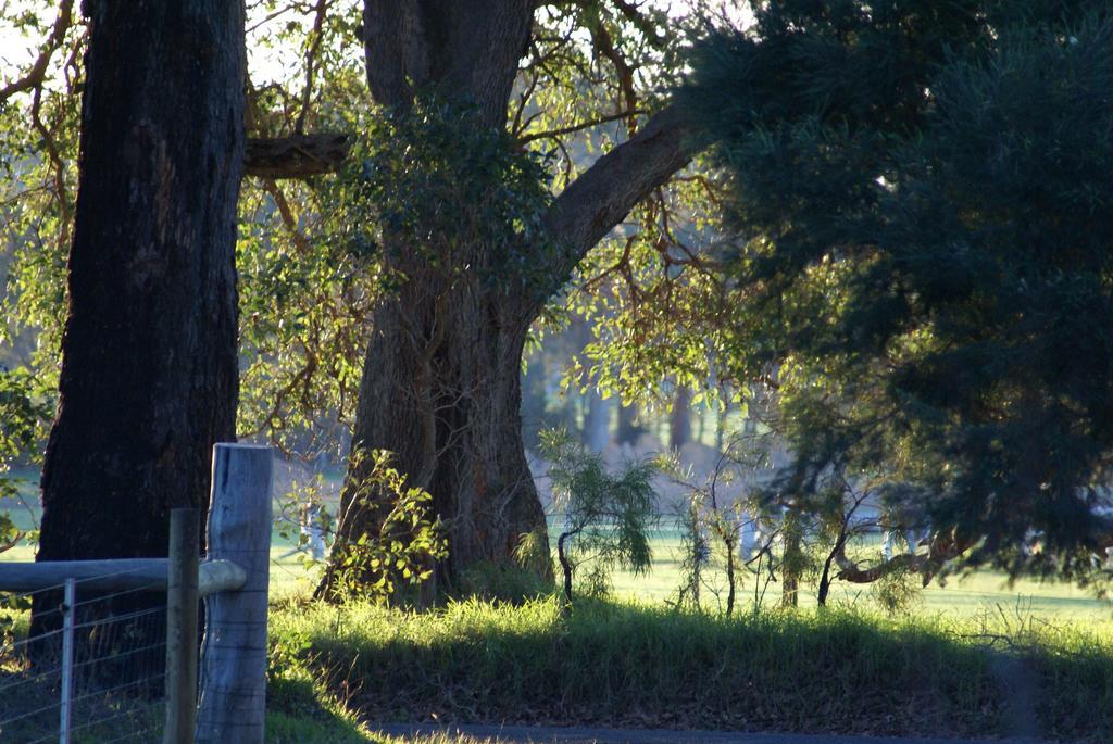Ellensbrook Cottages Cowaramup Buitenkant foto