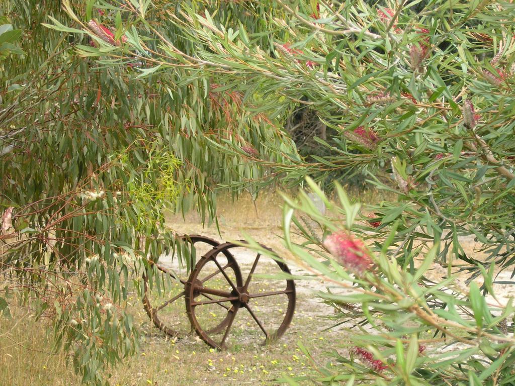 Ellensbrook Cottages Cowaramup Buitenkant foto